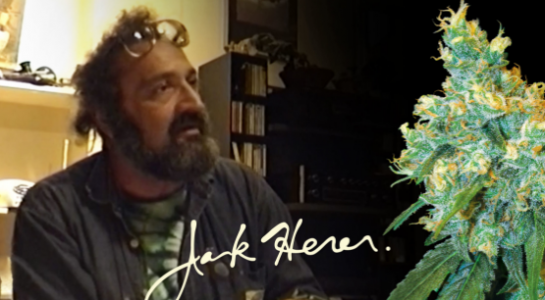 1648140639759.png 1648140639759.png