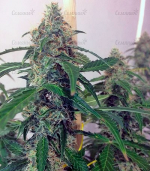 1648140840220.png 1648140840220.png