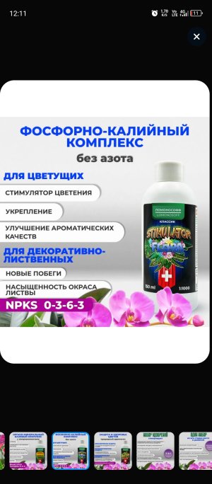Screenshot_20250131-121121.jpg