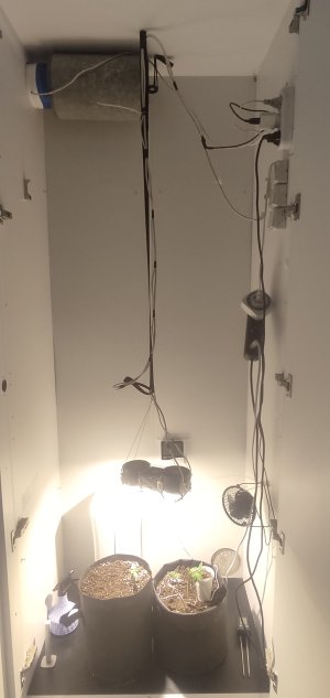 1000107203-01.jpeg