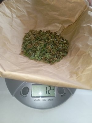95 дн трим.jpg 95 дн трим.jpg