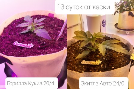 20220408_205916.jpg