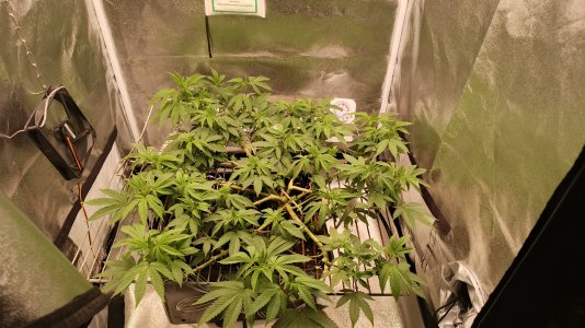 IMG_20250509_183443_543.jpg