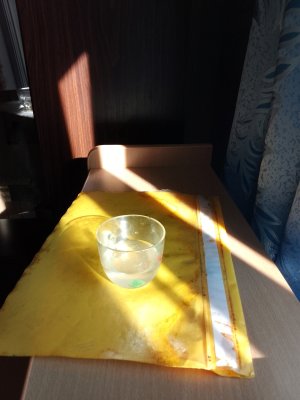 IMG_20250510_174219.jpg