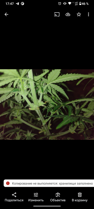 Screenshot_20250521-174751.png