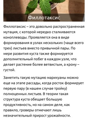 Screenshot_2025-05-30-14-37-50-866_com.android.chrome-edit.jpg