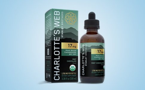 Charlottes-Web__zeSWCZLoiQ2QP9lf.jpg