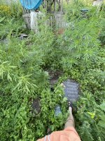 IMG_0300.jpeg