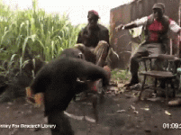 uBsfYAZ.gif uBsfYAZ.gif