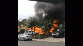 sd-grow-fire.gif sd-grow-fire.gif