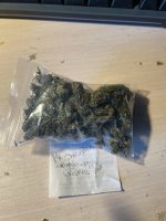 IMG_1251.jpeg