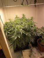 IMG_0740.jpeg