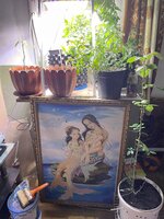 IMG_1280.jpeg