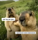 IMG_0428.jpeg