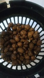 IMG_20251030_215309_606.jpg