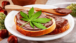 kanna-kuhnya-recept-konoplyanoy-nutelly__n0EMcPIERIt6ZENK.jpg