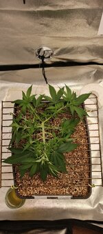 IMG_20251107_165846_665.jpg