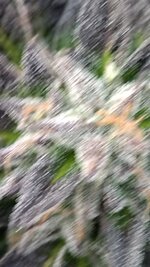 IMG_20251123_160340.jpg