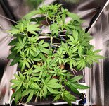 Day 30 (1.12).jpg