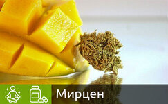 mircen__Mp9R4EtBgCJyuUdB.jpg mircen__Mp9R4EtBgCJyuUdB.jpg