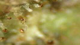 20250910-204703-144.jpg