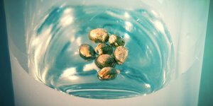 Ways-to-test-your-seeds.jpg