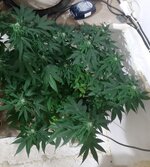 20260123_072254.jpg 20260123_072254.jpg