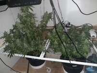 20260212_062409.jpg 20260212_062409.jpg