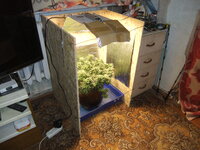 DSCF0152.JPG