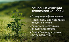 V-zaklyuchenie__rqNkbCLLBihzLtL9.jpg V-zaklyuchenie__rqNkbCLLBihzLtL9.jpg
