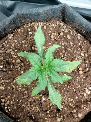 WhatsApp Image 2022-06-03 at 02.00.38 (2).jpeg