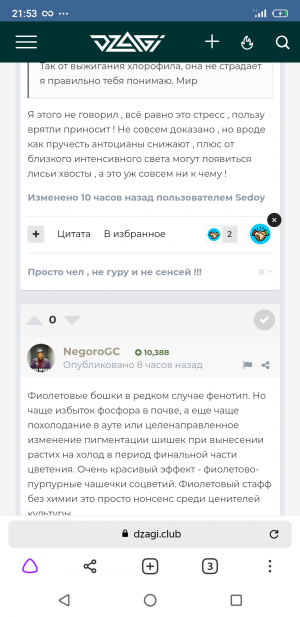 S20607-215350.png