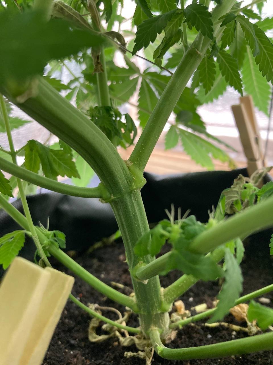 photo_2022-06-18_13-17-39 (2).jpg