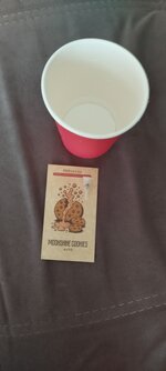 Одиночка