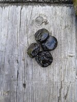 IMG_20260806_134848.jpg