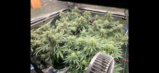 Screenshot_20260902_165206_Gallery.jpg