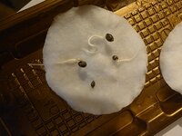 20260904_082022.jpg