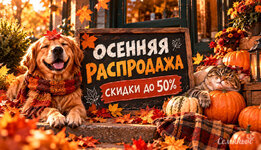 osennyaya-rasprodazha__wCGUeC2TgAy3DBlu.jpg osennyaya-rasprodazha__wCGUeC2TgAy3DBlu.jpg