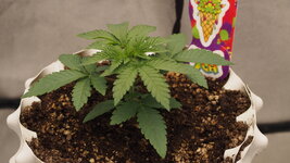PA052223.JPG