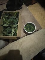 IMG_5850.jpeg