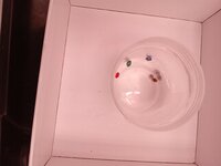 20261028_222020348.jpg 20261028_222020348.jpg
