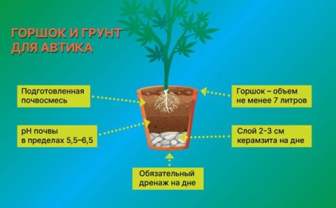Горшок для выращивания автоцвета дома Горшок для выращивания автоцвета дома