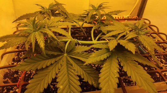 0_P20713-191414.jpg