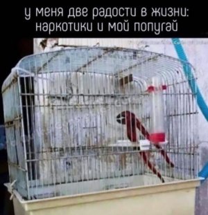322370DD-45F5-47E5-B261-127C6A22B3DD.jpeg
