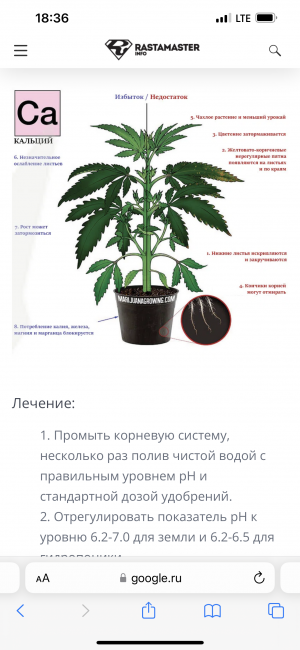 C445D090-A494-4699-9562-6D94EF7BF84E.png