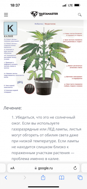 AEE909F3-B6E9-4FF6-8743-D68E740FEBF4.png