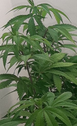 20220804_211747.jpg