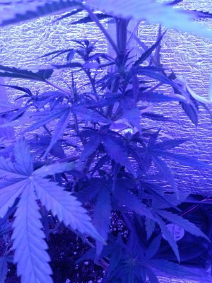 photo_2022-08-27_09-02-08 (2).jpg