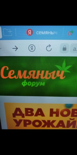Screenshot_2022-08-20-16-20-42-417_com.miui.gallery.jpg
