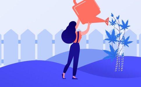 Ошибки начинающих гроверов